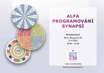 Workshop – Alfa programování synapsí